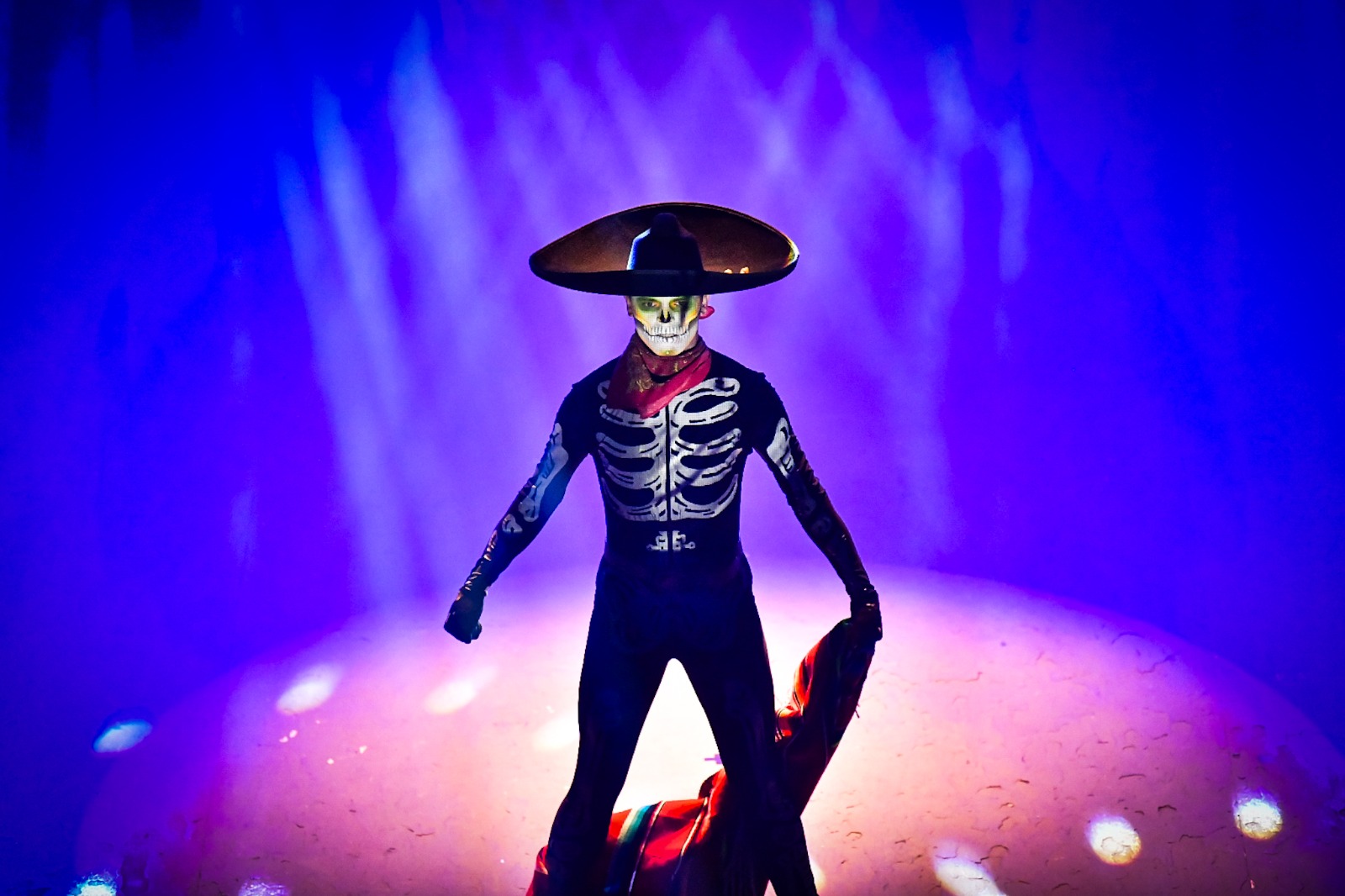 Calaveras und Congreso Charro: Wirtschaftsauswirkungen