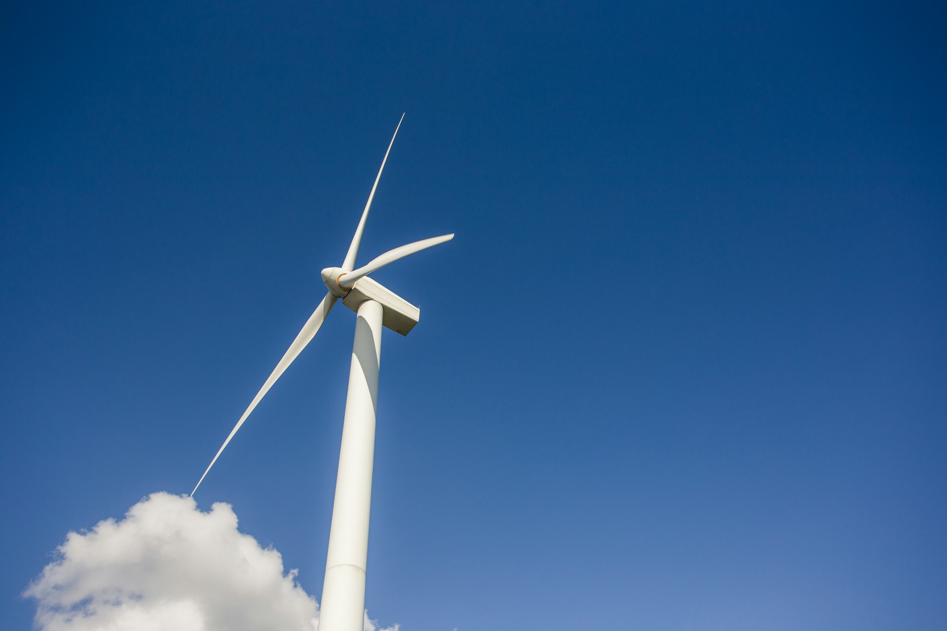 Guanajuato führt Energiewende mit 428 MW sauberer Energie an