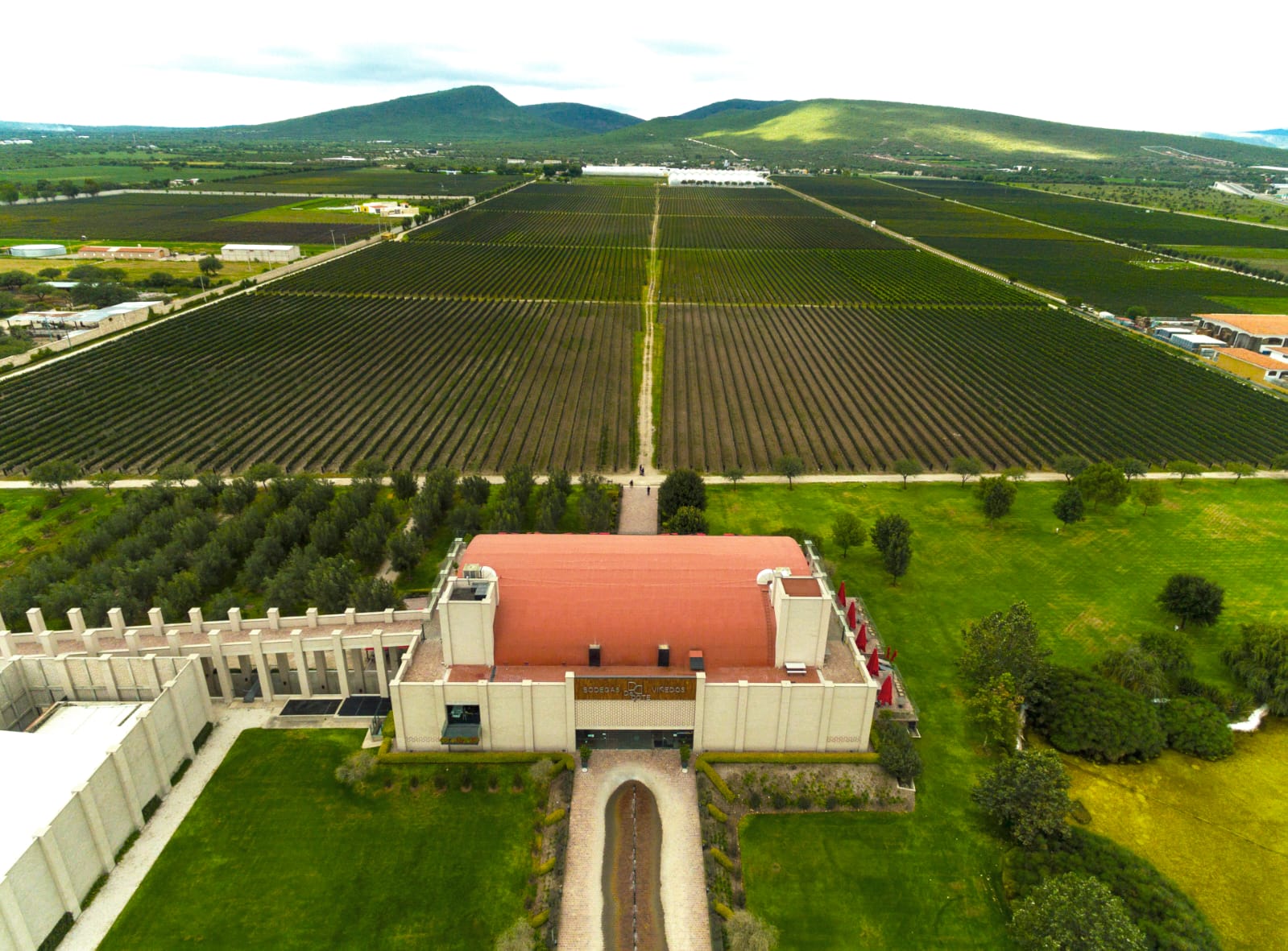 Wein in Querétaro: Herausforderungen einer sich konsolidierenden Industrie
