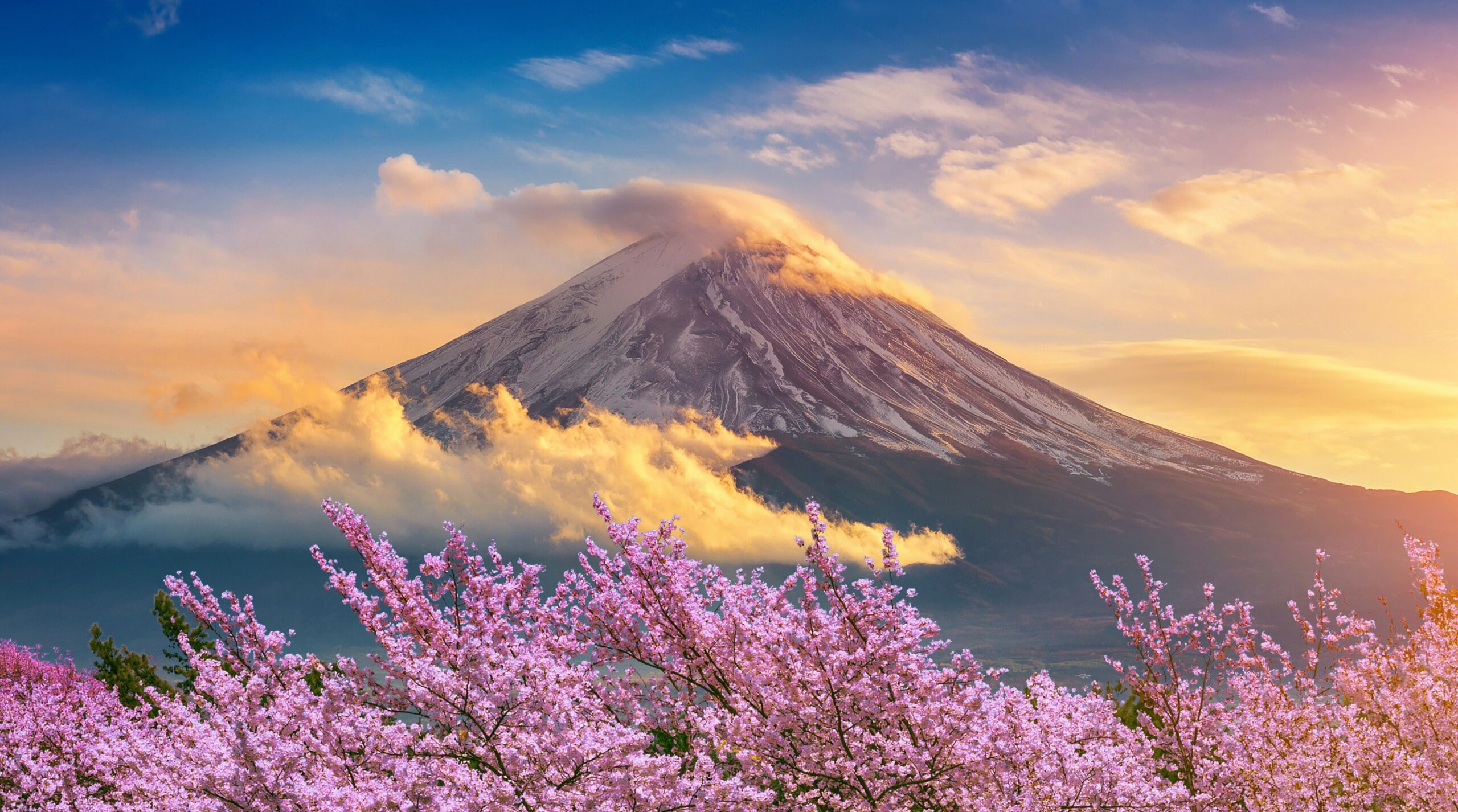 Mexiko liefert Öl nach Japan: Die Straße von Hormuz definiert die globale Energielandschaft neu