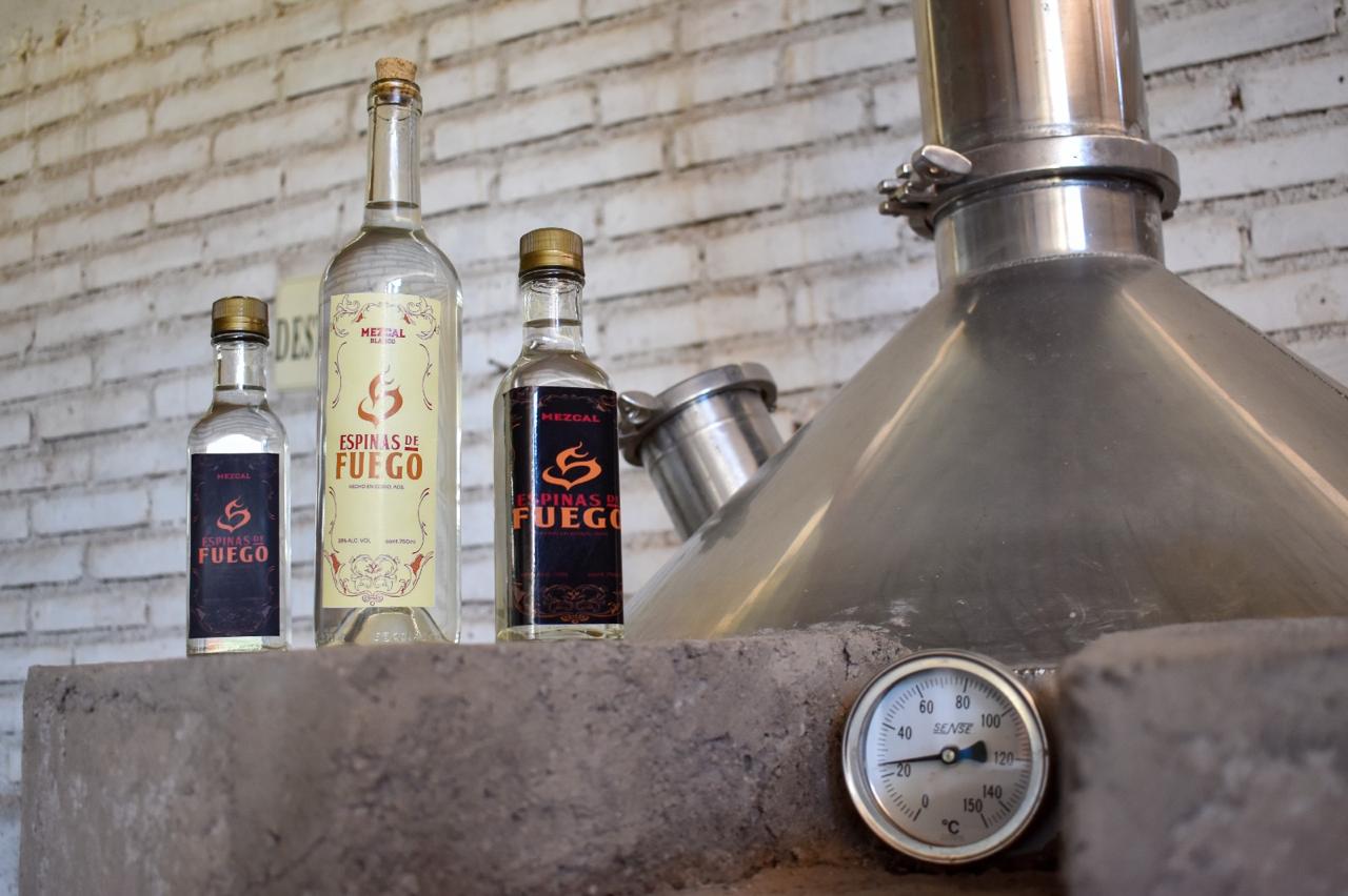 Konsultativrat für Mezcal und Agave in Aguascalientes eingerichtet zur Exportförderung