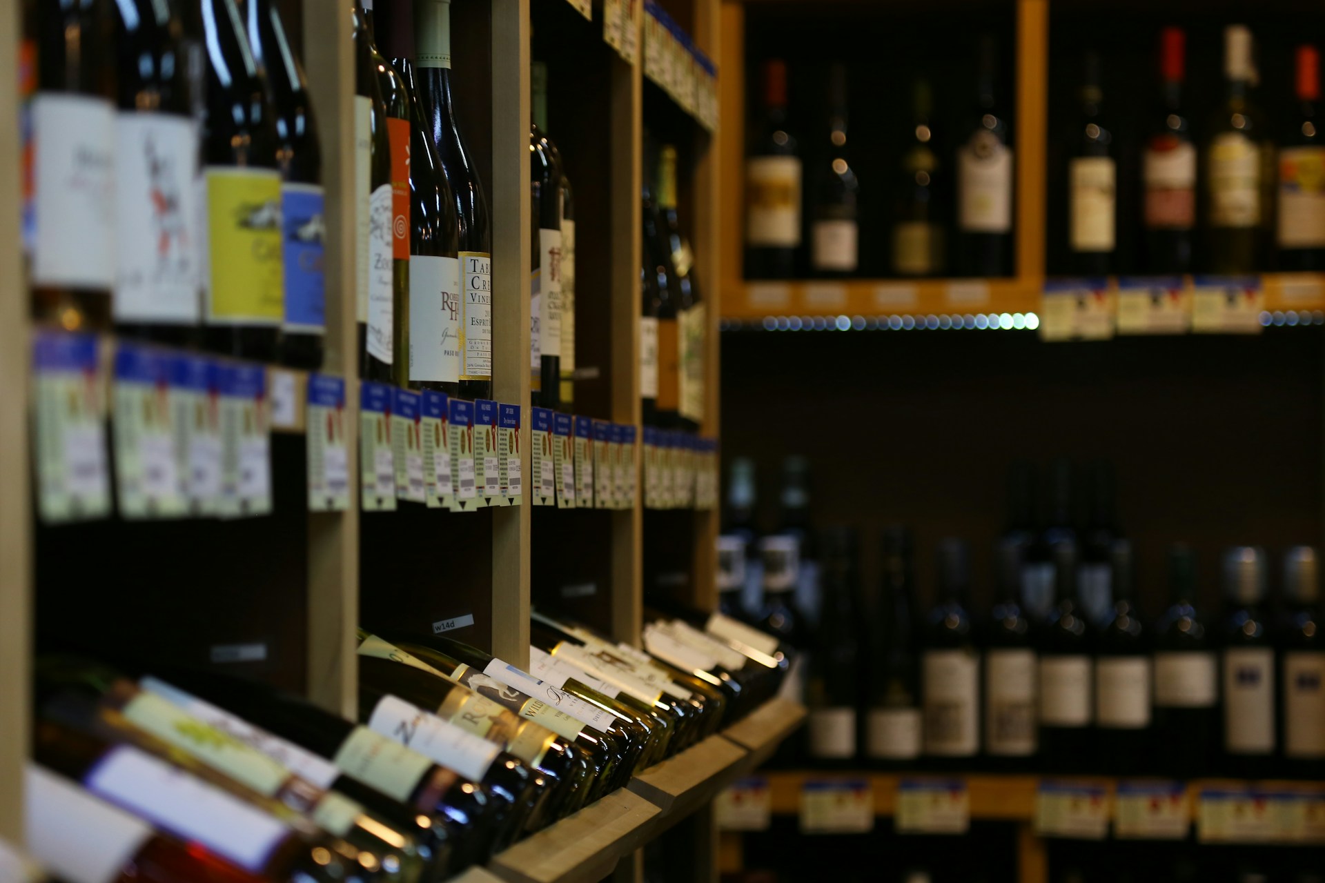 Guanajuato: Zweitplatzierter Staat Mexikos bei Weinprämierungen