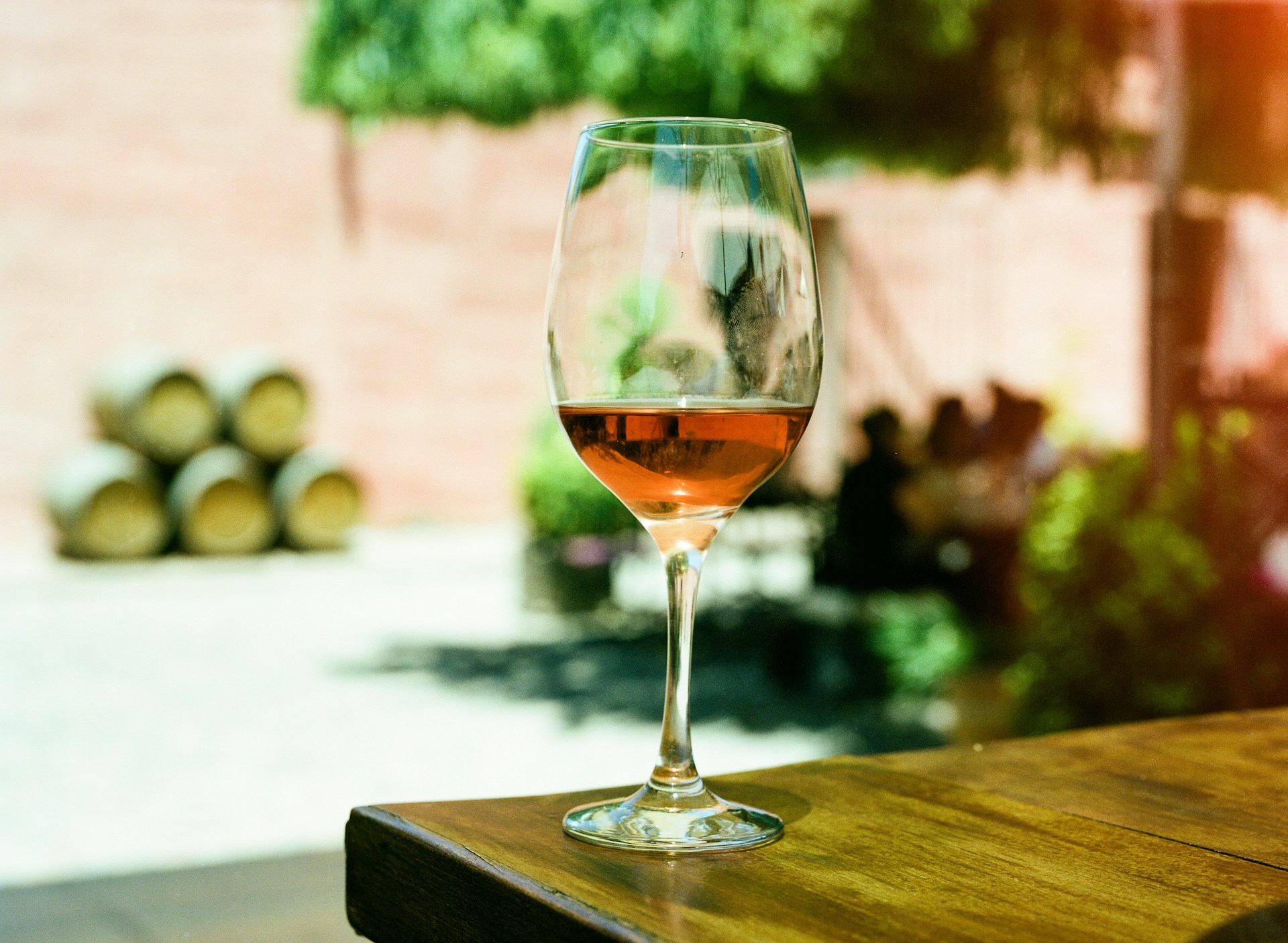 Querétaro Wein Festival erwartet 8.000 Besucher