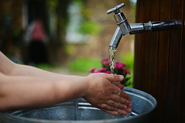 Wasser in Guadalajara: UdeG fordert anhaltende Koordination