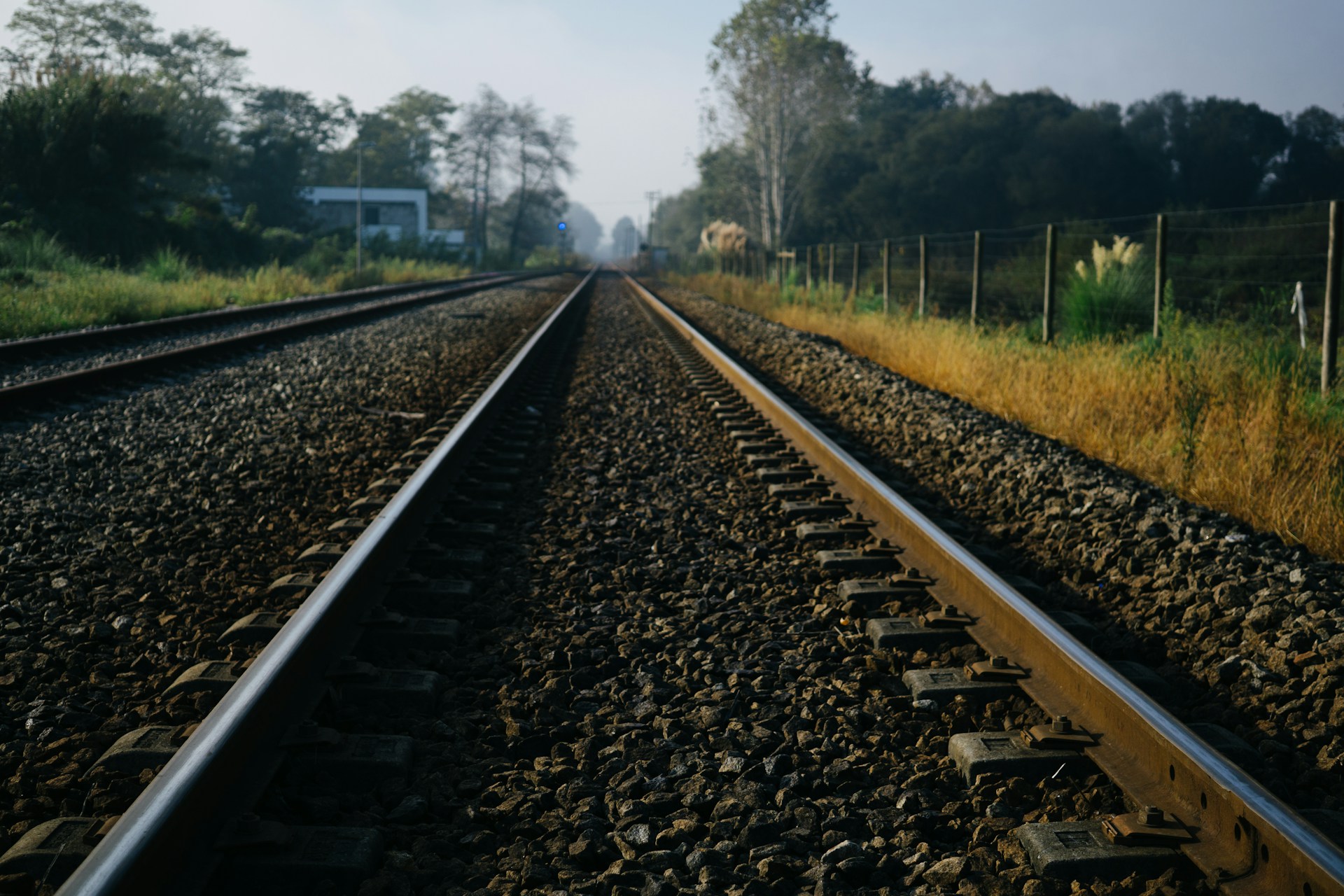 Purísima-Produzenten lehnen Trasse der Irapuato-Guadalajara-Bahn ab; Bund verspricht Entschädigungen